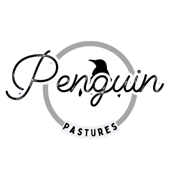 Pop-in Penguins